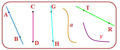 10 Bài tập trắc nghiệm Đường thẳng, Đường cong lớp 2 (có lời giải) | Toán lớp 2 Chân trời sáng tạo