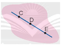 12 Bài tập trắc nghiệm Ba điểm thẳng hàng lớp 2 (có lời giải) | Toán lớp 2 Kết nối tri thức