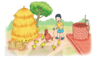 17 Bài tập trắc nghiệm Bảng chia 2 lớp 2 (có lời giải) | Toán lớp 2 Kết nối tri thức