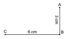 13 Bài tập trắc nghiệm Đường gấp khúc lớp 2 (có lời giải) | Toán lớp 2 Kết nối tri thức