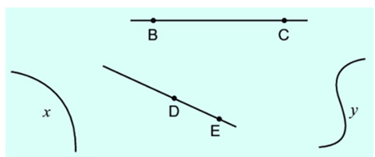 10 Bài tập trắc nghiệm Đường thẳng, đường cong lớp 2 (có lời giải) | Toán lớp 2 Kết nối tri thức