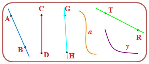 10 Bài tập trắc nghiệm Đường thẳng, đường cong lớp 2 (có lời giải) | Toán lớp 2 Kết nối tri thức