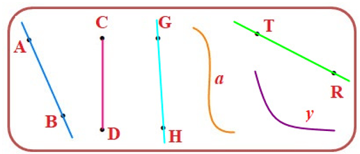 10 Bài tập trắc nghiệm Đường thẳng, đường cong lớp 2 (có lời giải) | Toán lớp 2 Kết nối tri thức