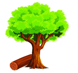 15 Bài tập trắc nghiệm Khối trụ, Khối cầu lớp 2 (có lời giải) | Toán lớp 2 Kết nối tri thức