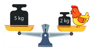 16 Bài tập trắc nghiệm Ki-lô-gam lớp 2 (có lời giải) | Toán lớp 2 Kết nối tri thức