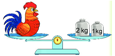 16 Bài tập trắc nghiệm Ki-lô-gam lớp 2 (có lời giải) | Toán lớp 2 Kết nối tri thức