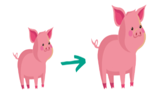 17 Bài tập trắc nghiệm Ôn tập đo lường lớp 2 (có lời giải) | Toán lớp 2 Kết nối tri thức