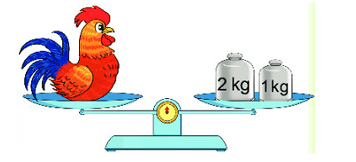 17 Bài tập trắc nghiệm Ôn tập đo lường lớp 2 (có lời giải) | Toán lớp 2 Kết nối tri thức