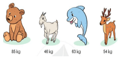 17 Bài tập trắc nghiệm Ôn tập đo lường lớp 2 (có lời giải) | Toán lớp 2 Kết nối tri thức