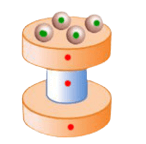 10 Bài tập trắc nghiệm Ôn tập hình học lớp 2 (có lời giải) | Toán lớp 2 Kết nối tri thức