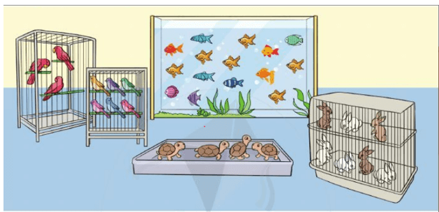 19 Bài tập trắc nghiệm Ôn tập kiểm đếm số lượng và lựa chọn khả năng lớp 2 (có lời giải) | Toán lớp 2 Kết nối tri thức