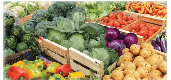 19 Bài tập trắc nghiệm Ôn tập kiểm đếm số lượng và lựa chọn khả năng lớp 2 (có lời giải) | Toán lớp 2 Kết nối tri thức