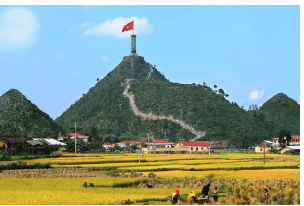 17 Bài tập trắc nghiệm Ôn tập phép cộng, phép trừ trong phạm vi 1000 lớp 2 (có lời giải) | Toán lớp 2 Kết nối tri thức