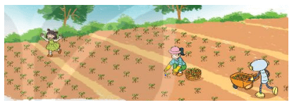 17 Bài tập trắc nghiệm Ôn tập phép cộng, phép trừ trong phạm vi 1000 lớp 2 (có lời giải) | Toán lớp 2 Kết nối tri thức