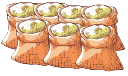 20 Bài tập trắc nghiệm Phép cộng không nhớ trong phạm vi 1000 lớp 2 (có lời giải) | Toán lớp 2 Kết nối tri thức