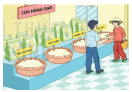 20 Bài tập trắc nghiệm Phép cộng không nhớ trong phạm vi 1000 lớp 2 (có lời giải) | Toán lớp 2 Kết nối tri thức