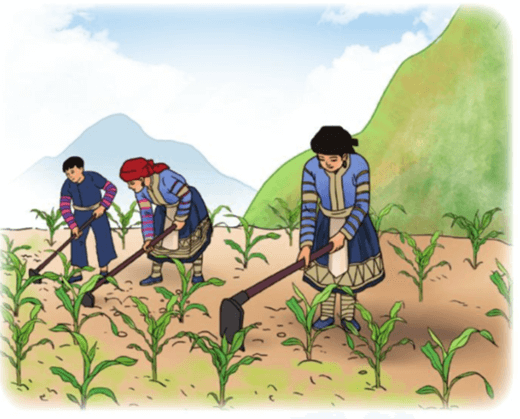 Toán lớp 3 trang 107, 108 Ôn tập về số và phép tính trong phạm vi 100 000 (Tiếp theo) | Cánh diều