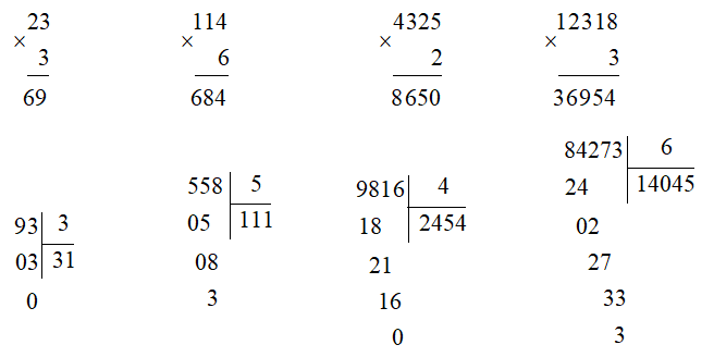 Toán lớp 3 trang 105, 106 Ôn tập về số và phép tính trong phạm vi 100 000 | Cánh diều
