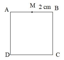 8 Bài tập trắc nghiệm Điểm ở giữa. Trung điểm của đoạn thẳng lớp 3 (có lời giải) | Toán lớp 3 Cánh diều