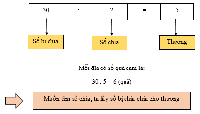 Tìm số bị chia, tìm số chia lớp 3 (Lý thuyết + Các dạng bài tập)