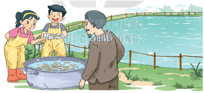 Toán lớp 3 Bài 63: Phép cộng trong phạm vi 100000 (trang 70, 71, 72 Tập 2) | Kết nối tri thức