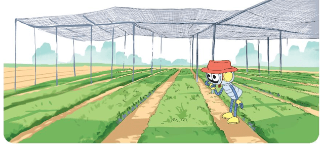 Toán lớp 3 Bài 70: Nhân số có năm chữ số với số có một chữ số (trang 94, 95, 96 Tập 2) | Kết nối tri thức