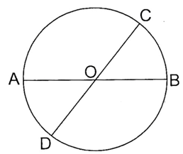 8 Bài tập trắc nghiệm Hình tròn. Tâm, bán kính, đường kính của hình tròn lớp 3 (có lời giải) | Toán lớp 3 Kết nối tri thức