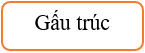 15 Bài tập trắc nghiệm Bài 51: Ước lượng thương trong phép chia lớp 4 (có lời giải) | Toán lớp 4 Chân trời sáng tạo 