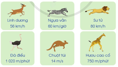 Toán lớp 5 Cánh diều Bài 72: Vận tốc | Giải Toán lớp 5