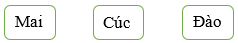 15 câu trắc nghiệm Toán lớp 5 Chân trời sáng tạo Bài 27: Em làm được những gì? (có đáp án)