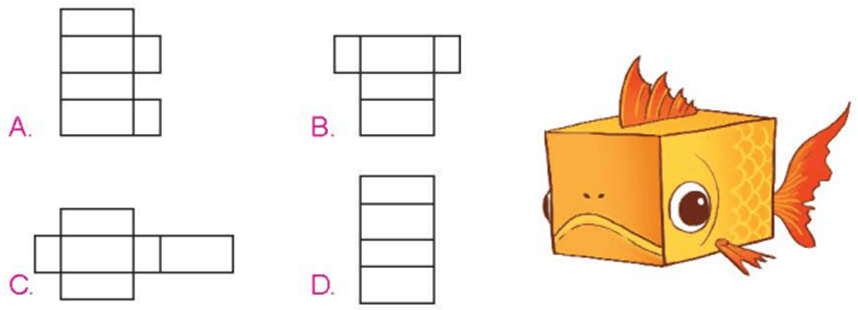 Toán lớp 5 Kết nối tri thức Bài 49: Hình khai triển của hình lập phương, hình hộp chữ nhật và hình trụ (trang 40) | Giải Toán lớp 5