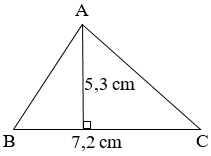 Bài tập trắc nghiệm Ôn tập diện tích, chu vi một số hình phẳng lớp 5 (có lời giải)