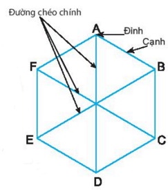 Hình vuông, Tam giác đều, Lục giác đều | Chân trời sáng tạo (ảnh 1)