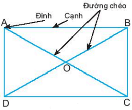 Lý thuyết tổng hợp Chương 3: Hình học trực quan và hình phẳng trong thực tiễn lớp 6 | Chân trời sáng tạo (ảnh 1)