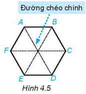 Hãy kể tên các đường chéo chính của hình lục giác đều ABCDEF