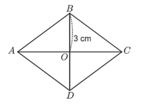 13 Bài tập trắc nghiệm Hình chữ nhật. Hình thoi. Hình bình hành. Hình thang cân (có đáp án) | Kết nối tri thức Toán lớp 6