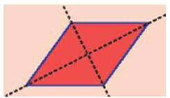 13 Bài tập trắc nghiệm Hình có trục đối xứng (có đáp án) | Kết nối tri thức Toán lớp 6 