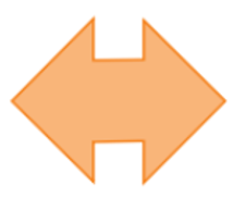 13 Bài tập trắc nghiệm Hình có trục đối xứng (có đáp án) | Kết nối tri thức Toán lớp 6 