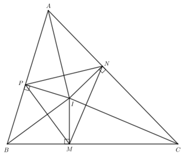 Tam giác ABC có ba đường phân giác cắt nhau tại I. Gọi M, N, P lần lượt là hình chiếu của I trên các cạnh BC, CA, AB