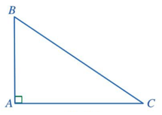 Cho tam giác ABC vuông tại A Tổng hai góc B và C bằng bao nhiêu độ