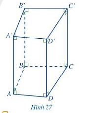 Quan sát lăng trụ đứng tam giác ABCD. A’B’C’D’ ở Hình 27