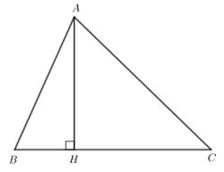 Cho tam giác nhọn ABC, góc B lớn hơn góc C 