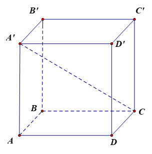 Hình hộp chữ nhật. Hình lập phương (Lý thuyết Toán lớp 7) | Cánh diều