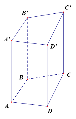 Hình lăng trụ đứng tam giác. Hình lăng trụ đứng tứ giác (Lý thuyết Toán lớp 7) | Cánh diều