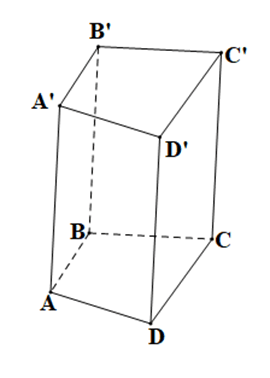 15 Bài tập Hình lăng trụ đứng tam giác. Hình lăng trụ đứng tứ giác (có đáp án) | Cánh diều Trắc nghiệm Toán 7