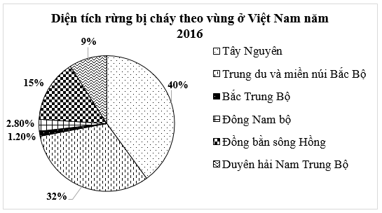 15 Bài tập Biểu đồ hình quạt tròn (có đáp án) | Cánh diều Trắc nghiệm Toán 7