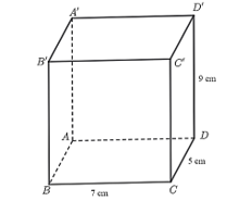 30 Bài tập tổng hợp Toán 7 Chương 3 Cánh diều có đáp án