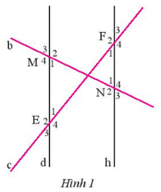 Quan sát Hình 1, biết d // h Hãy kể tên một số cặp góc bằng nhau