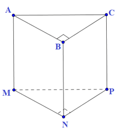Hãy nêu các bước tạo lập hình lăng trụ đứng tam giác trong Hình 6