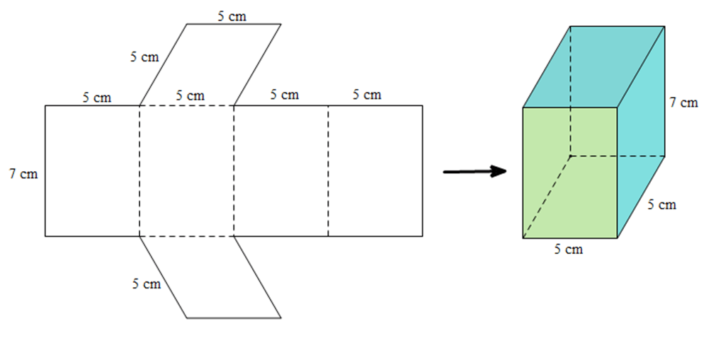 Bài 5 trang 58 Toán 7 Tập 1 Tập 1 Chân trời sáng tạo